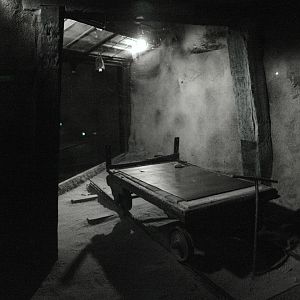 Exhibit of the Ghost Bats (Macroderma gigas)