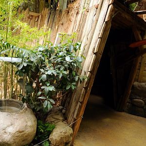 Construction of new ant-enclosure at Hamburg