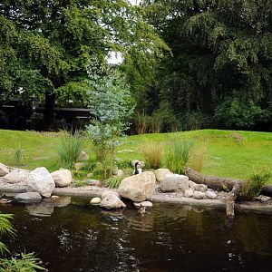 Finished australia exhibit at Hamburg