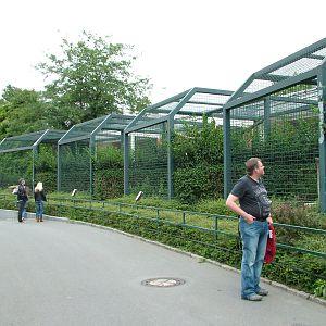 Leopard Cages at Tierpark Berlin, 30/08/11