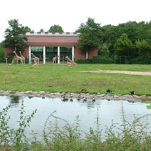 Giraffe Paddock and House at Tierpark Berlin, 30/08/11
