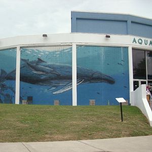 Niagara Falls Aquarium