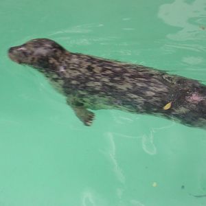 Niagara Falls Aquarium