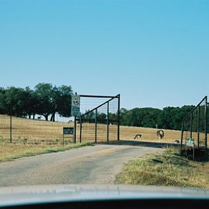 entrance to drive through