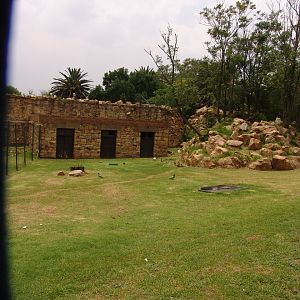 View of the Barbary Sheep (Ammotragus lervia) enclosure