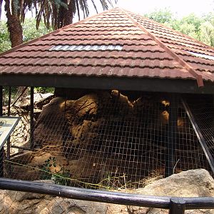 The old Polar Bear exhibit 1