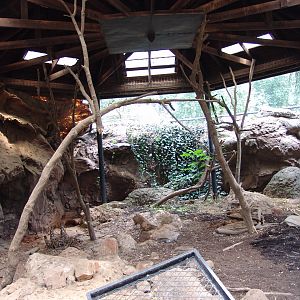 The old Polar Bear exhibit 2