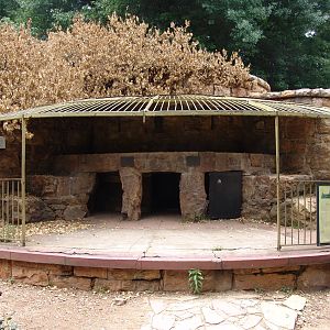 Old carnivore enclosure 1