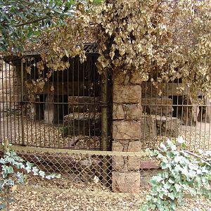 Old carnivore enclosure 2