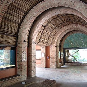 'Reptile (open) House'