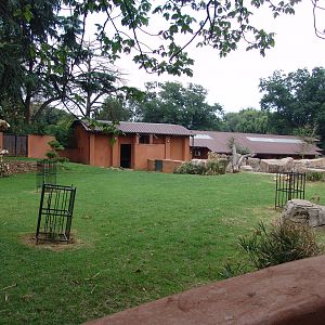 Part of the Pygmy Hippopotamus' (Choeropsis liberiensis) enclosure