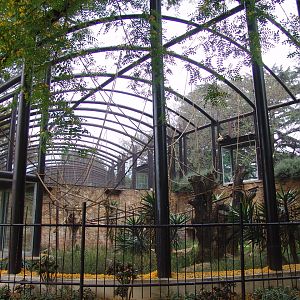 Aviaries for Gibbons and Lemurs