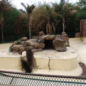 Renovating the exhibit before the return of the South African fur seals (Ar