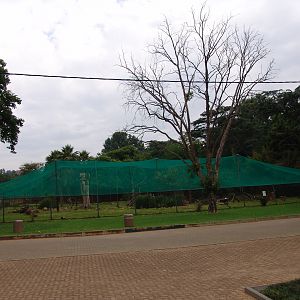 Aviaries
