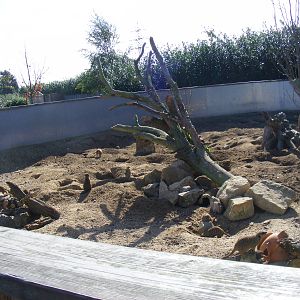 Part of meerkat enclosure at Tropical Wings, 13 September 2011
