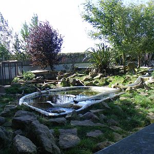 Part of Asian short-clawed otter enclosure at Tropical Wings, 13 September