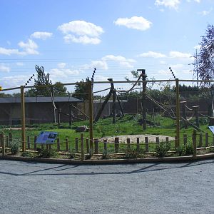 Lemur and sulcata tortoise enclosure at Tropical Wings, 13 September 2011