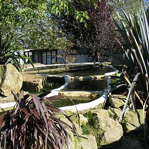 Part of the Asian short-clawed otter enclosure at Tropical Wings, 13 Septem