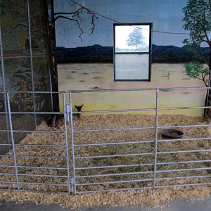 Savanahland Educational Park - Fallow Deer Fawn Pen