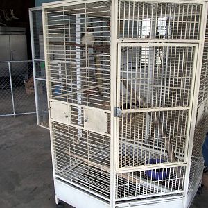 Savanahland Educational Park - Laughing Kookaburra Cage