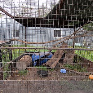 Savanahland Educational Park - Tayra Exhibit