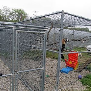 Savanahland Educational Park - Capuchin Exhibit