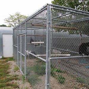 Savanahland Educational Park - Black-headed Spider Monkey Exhibit