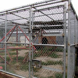 Savanahland Educational Park -Chimpanzee Exhibit