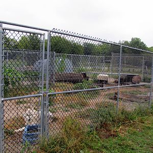 Savanahland Educational Park - Gray Wolf Exhibit