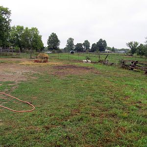 Savanahland Educational Park - Addax Exhibit