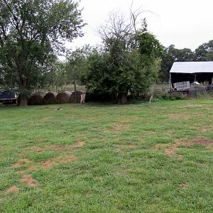 Savanahland Educational Park - Red Kangaroo Exhibit