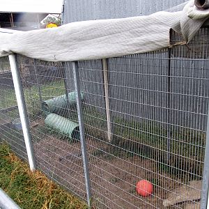 Savanahland Educational Park - Fennec Fox Exhibit