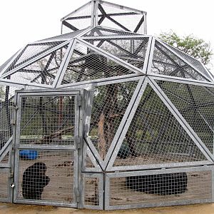 Savanahland Educational Park - Chimpanzee Exhibit