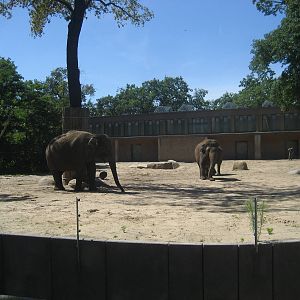 Berlin Zoo - Elephant exhibit