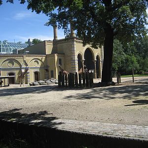 Berlin Zoo - Giraffe/waterbuck exhibit