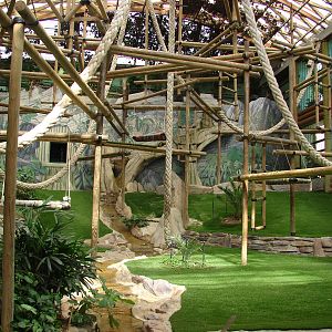 Gorillas indoor exhibit - Saint Martin la Plaine