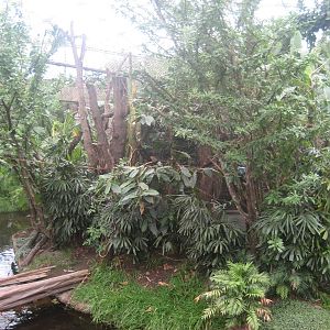 Leipzig Zoo - Squirrel monkey island
