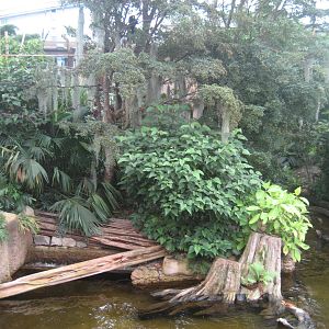 Leipzig Zoo - Giant otter/saki exhibit