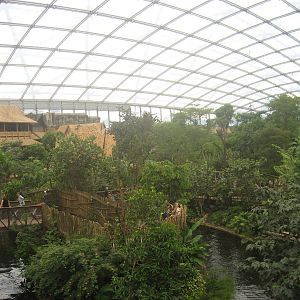 Leipzig Zoo - Gondwanaland