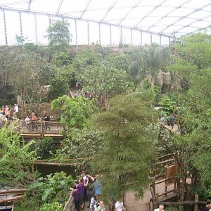 Leipzig Zoo - Gondwanaland