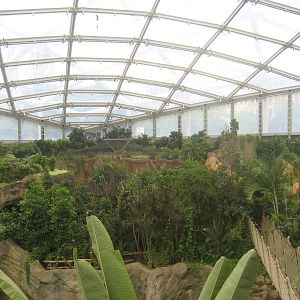 Leipzig Zoo - Gondwanaland