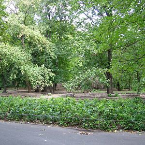 Wolf Exhibit at Tierpark Berlin, 30/08/11