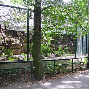 Marten Exhibit at Tierpark Berlin, 30/08/11