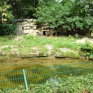 Striped Hyaena Exhibit at Tierpark Berlin, 30/08/11
