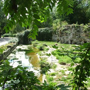 Brown Hyaena Exhibit at Tierpark Berlin, 30/08/11