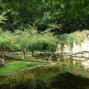 Lemur Island at Tierpark Berlin, 30/08/11