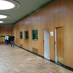 Aquarium at Tierpark Berlin, 30/08/11