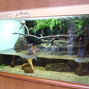 Aqua-Terrarium at Tierpark Berlin, 30/08/11