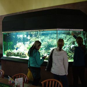Reef Tank at Tierpark Berlin, 30/08/11