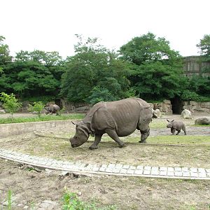 Rhino Paddocks at Tierpark Berlin, 30/08/11